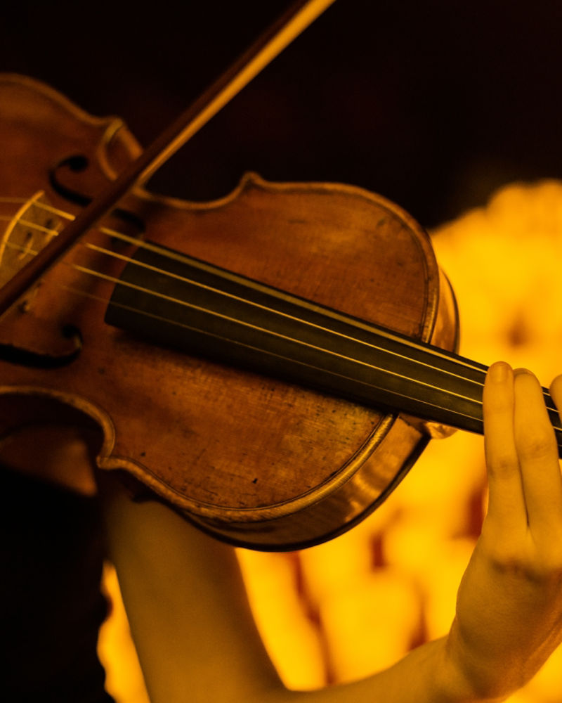 Violinst by a sea of candles