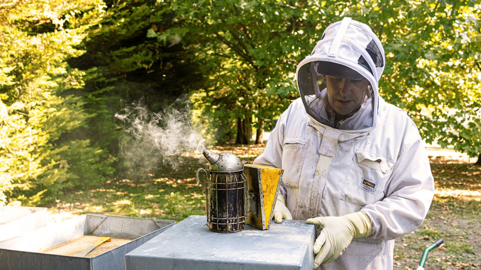 Socially responsible travel, Sustainable tourism Australia, Planet 21 Accor, Sustainable hotels Australia, Eco-friendly hotels, Sustainable hotel practices  