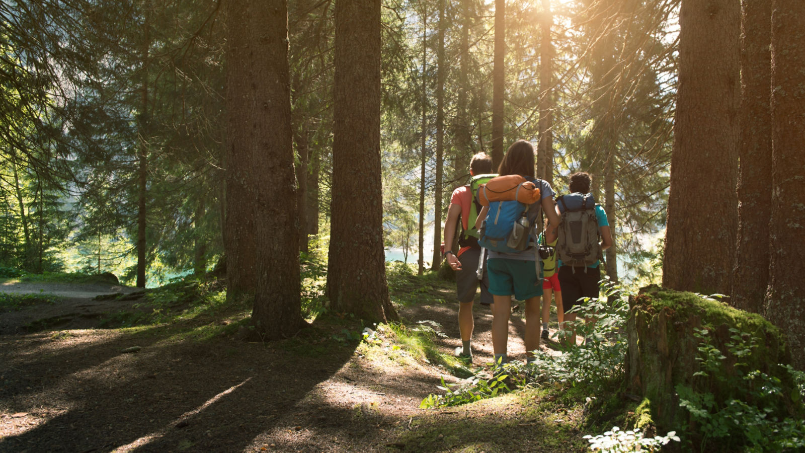 santa cruz de la sierra