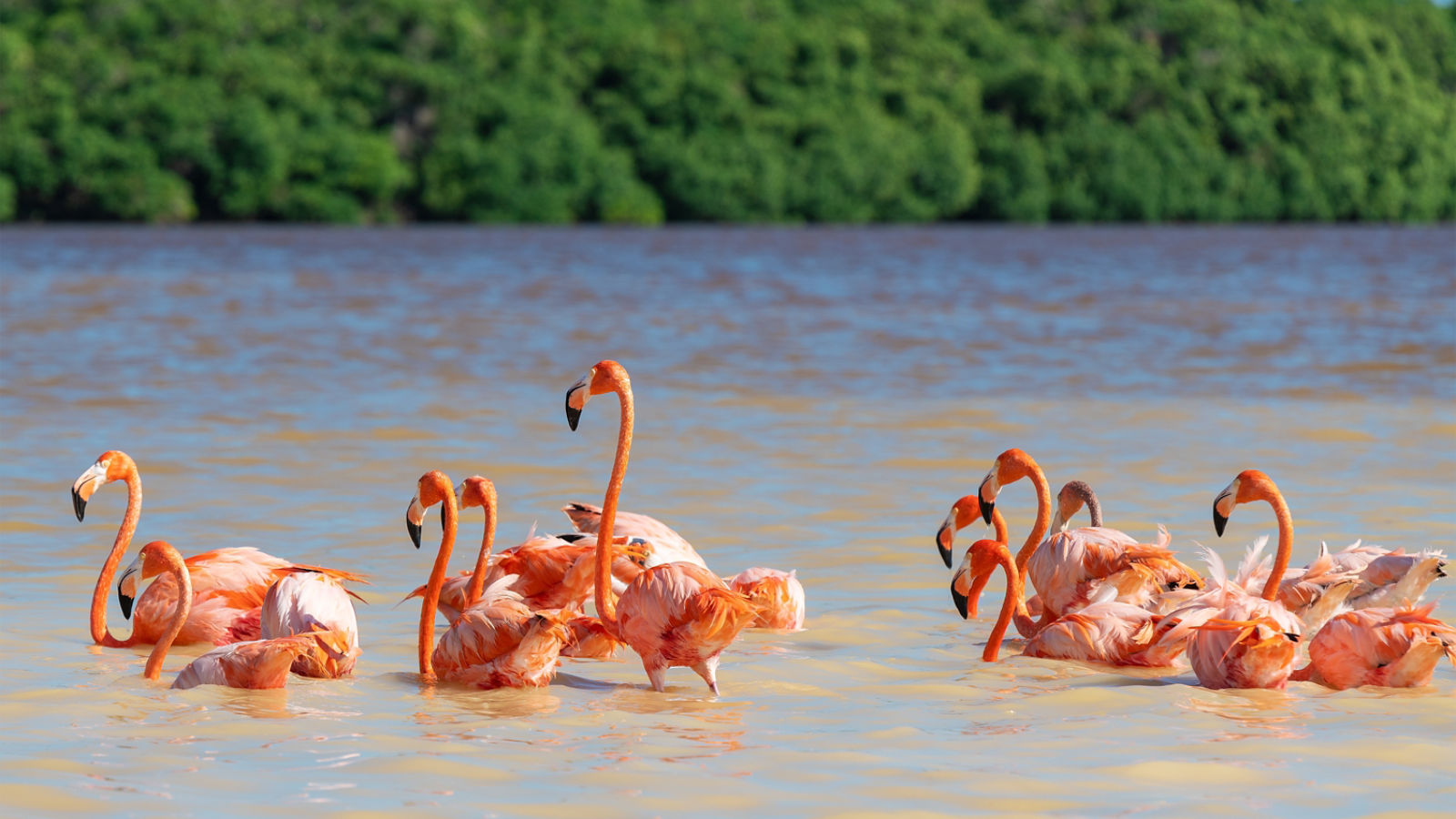 comida tipica de barranquilla
