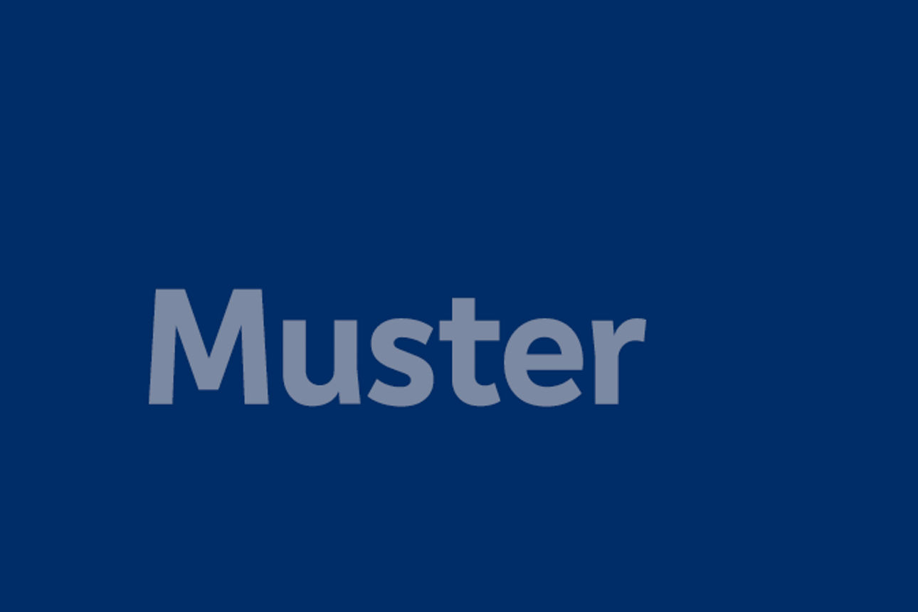 Muster Bild