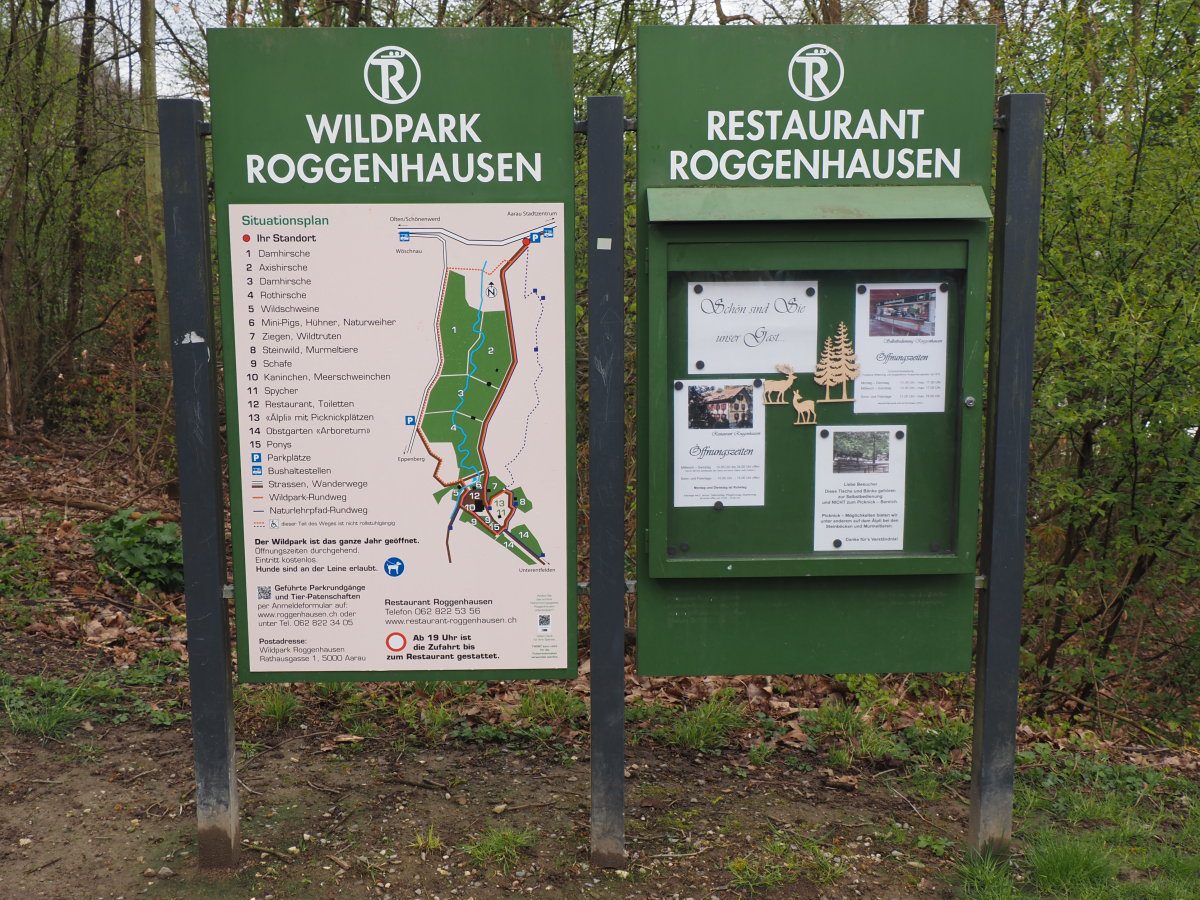 05 - Roggenhausen-Bremgarten