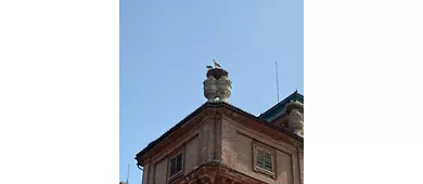 Castello Reale di Racconigi