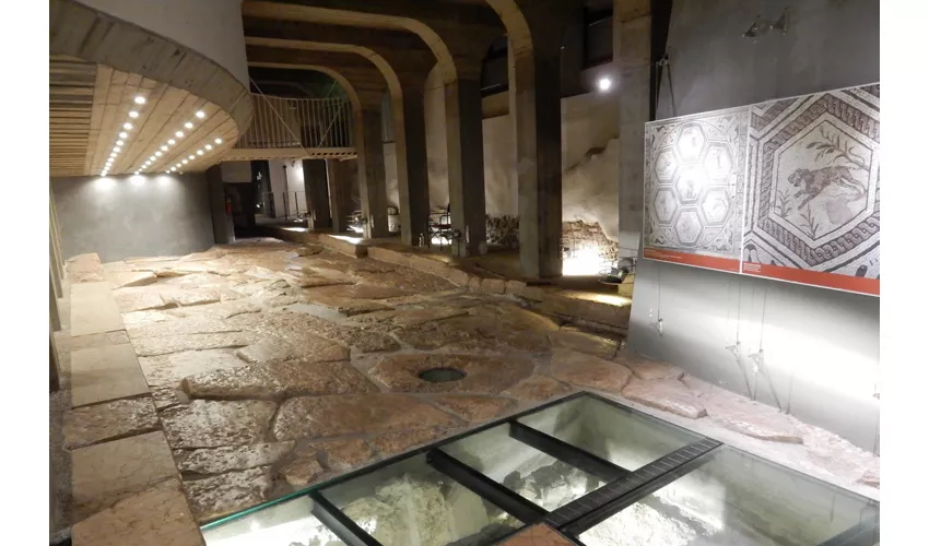 Tridentum - S.A.S.S. Underground Archaeological Space of the SAS