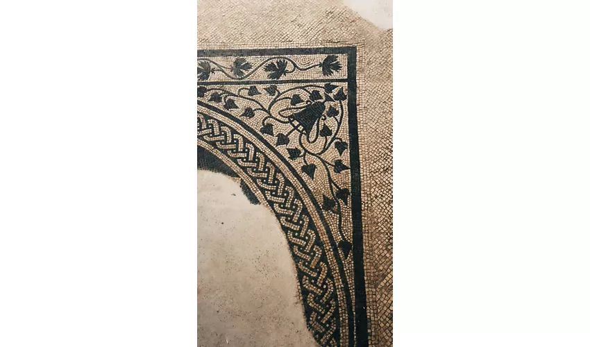 Tridentum - S.A.S.S. Espacio Arqueológico Subterráneo del Sas