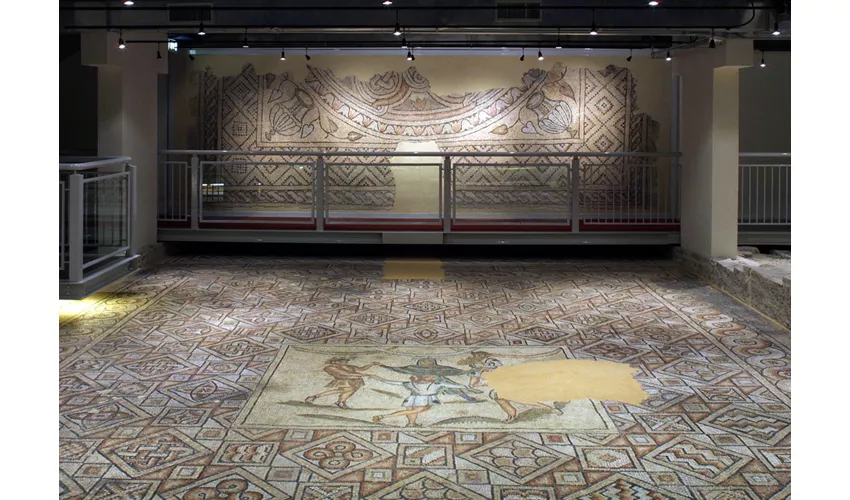 Domus des Tapis de Pierre