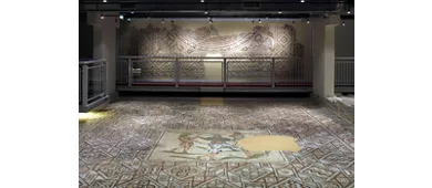 Domus des Tapis de Pierre