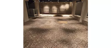 Domus des Tapis de Pierre