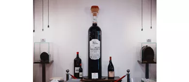 Terra Del Tuono Di Massimo Zini E C. S.N.C.