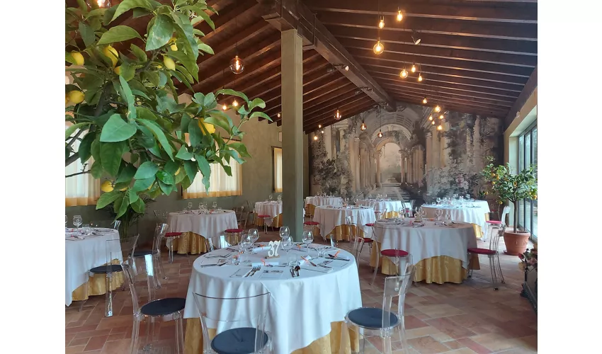 Terra Del Tuono Di Massimo Zini E C. S.N.C.