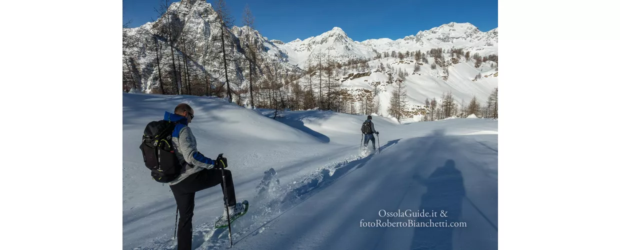 Trekking and Hiking Guide - Guida Escursionistica Ambientale Accompagnatore Naturalistico 
