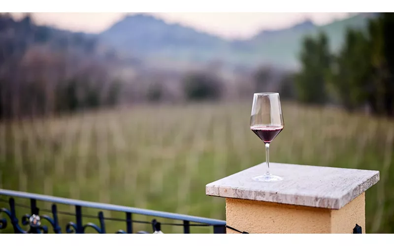 Vernaccia, vino spumante di grande pregio