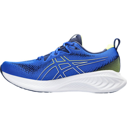 hervis asics