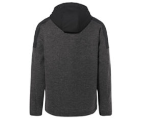 Tinshan Hoody Jacket II